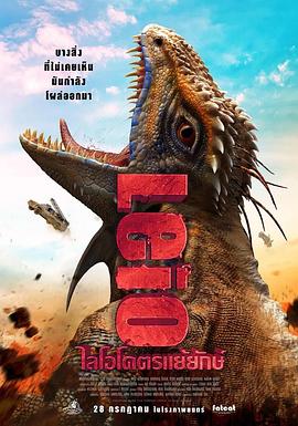 中国极品美軳86p
